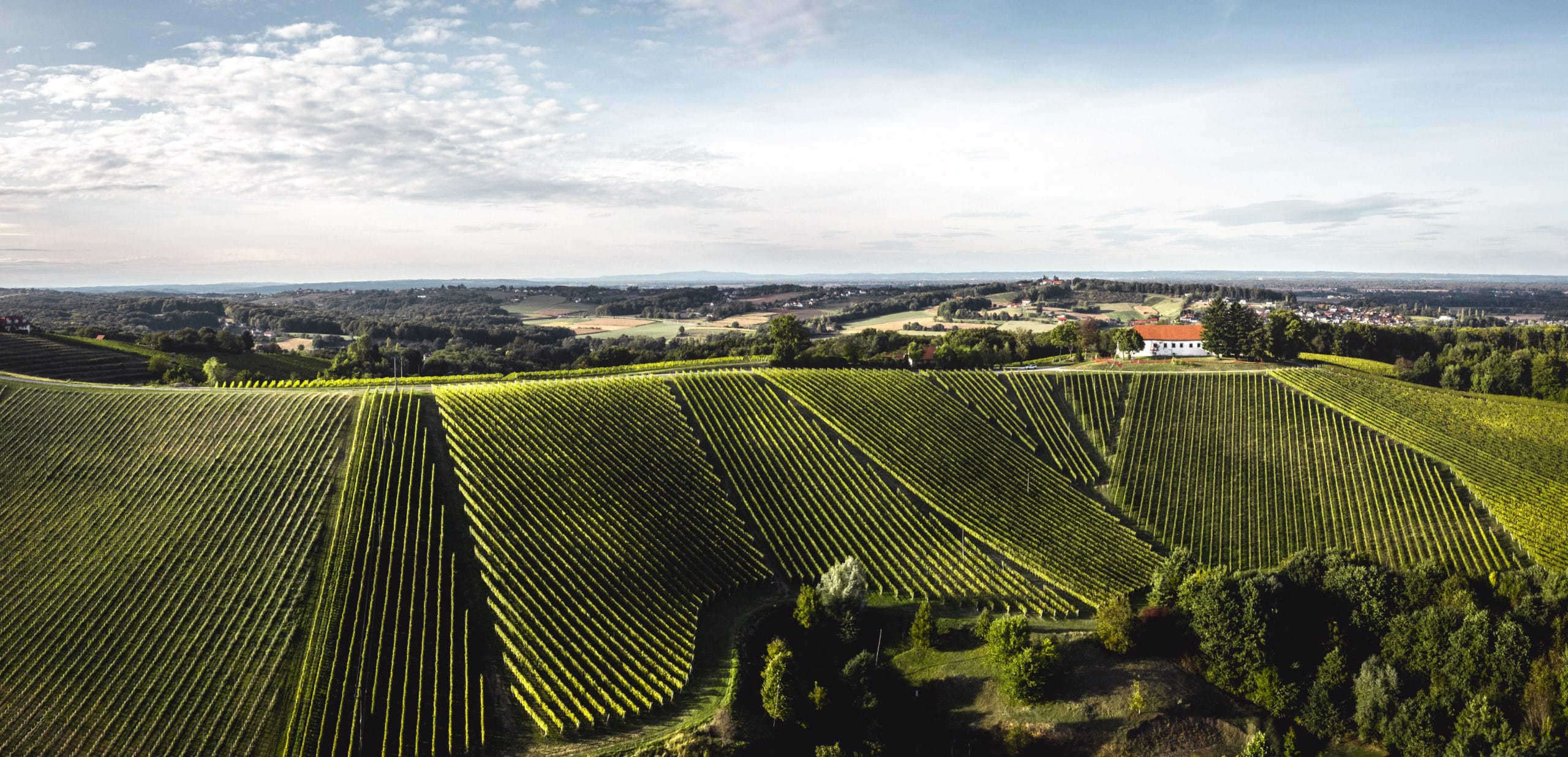 Dveri Pax Weinberge