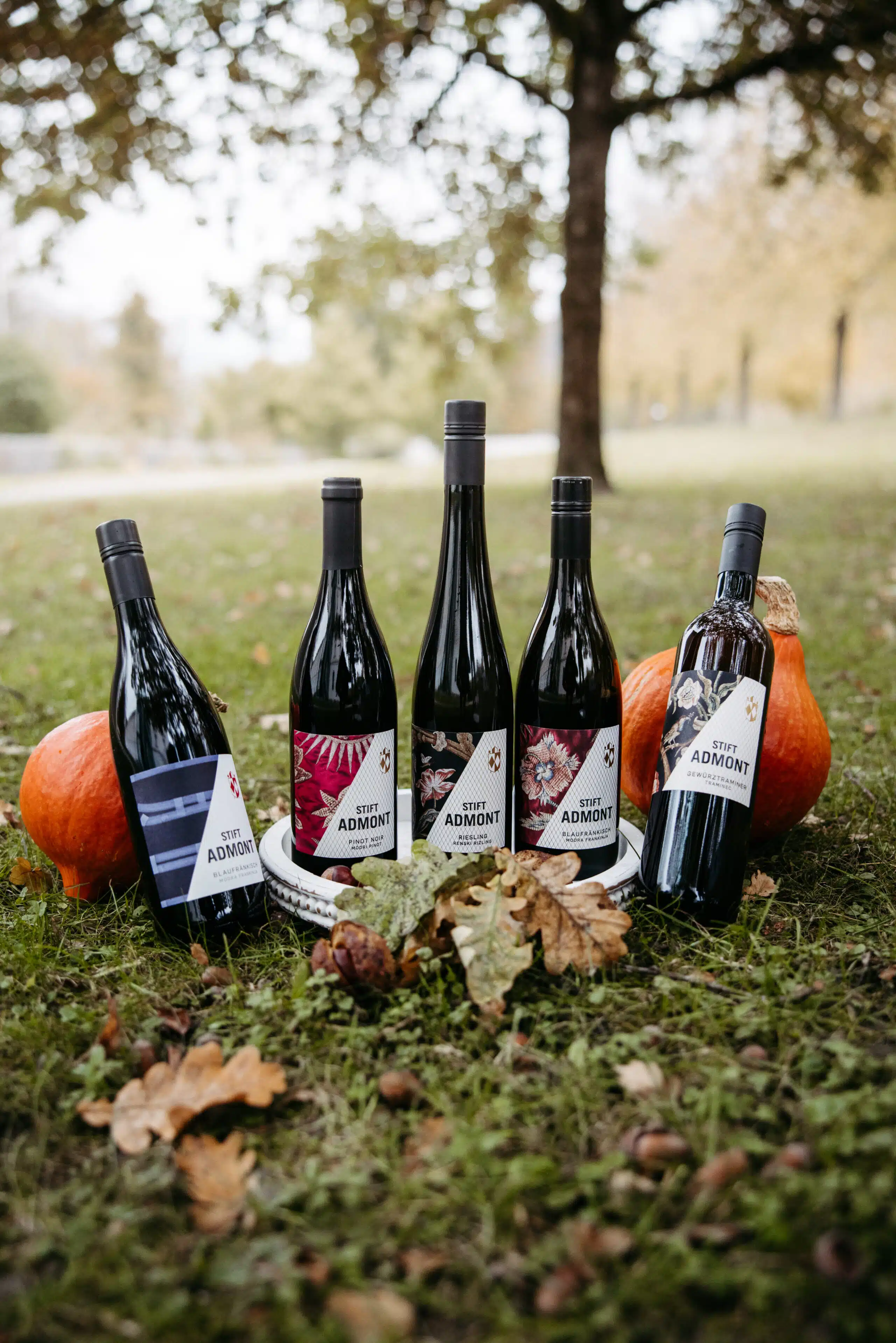 DveriPax Herbst www