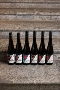 Riesling-Facetten